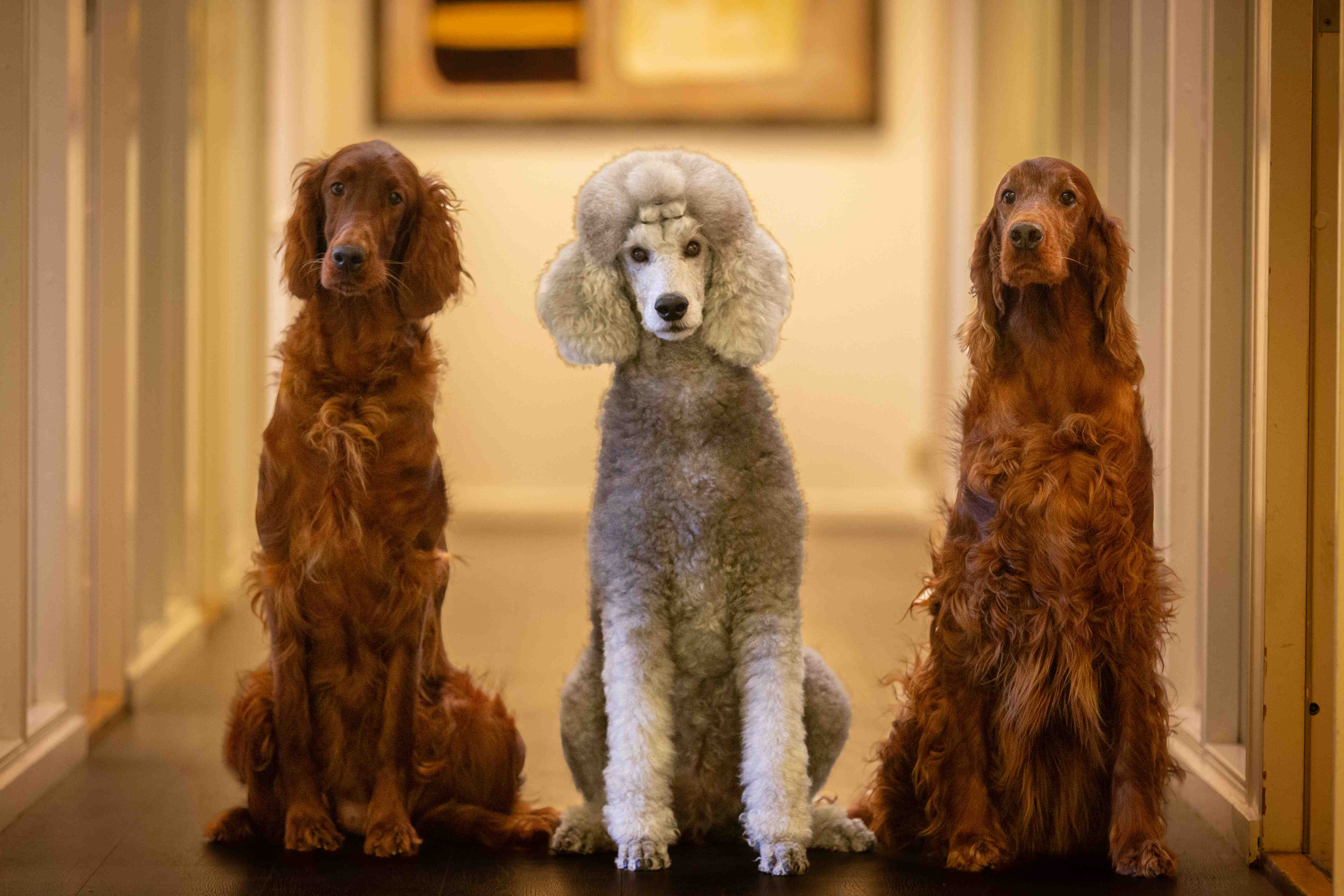 Sofi Fragouli Wallin